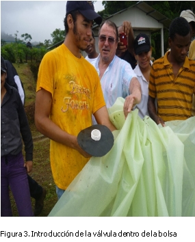 Instalación y operación de una válvula para salida de lodos en biodigestores plásticos - Image 3