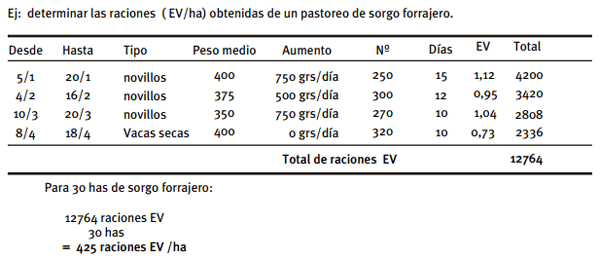 Alimentación de vacunos en sistemas pastoriles - Image 6