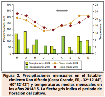 Limitantes nutricionales y variabilidad espacio-temporal del rendimiento en colza - Image 2