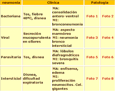 Guía para el diagnóstico de las enfermedades respiratorias de los Bovinos - Image 4