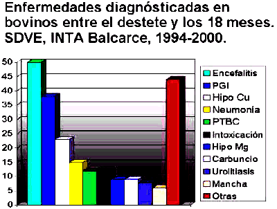 Guía para el diagnóstico de las enfermedades respiratorias de los Bovinos - Image 1
