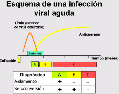 Guía para el diagnóstico de las enfermedades respiratorias de los Bovinos - Image 3