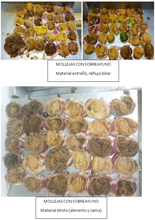 El arte de finalizar el pollo - Image 4