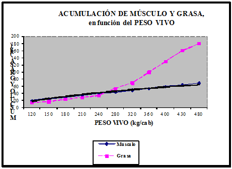 Suplementación estratégica en Sistemas Pastoriles. Importancia del balance de los distintos alimentos dentro del animal (pastos, concentrados y reservas) - Image 1