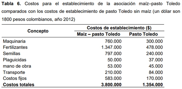 Efecto de la renovación de praderas con maíz sobre la productividad de carne bovina en el Piedemonte de los Llanos Orientales de Colombia - Image 8