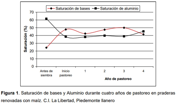 Efecto de la renovación de praderas con maíz sobre la productividad de carne bovina en el Piedemonte de los Llanos Orientales de Colombia - Image 4