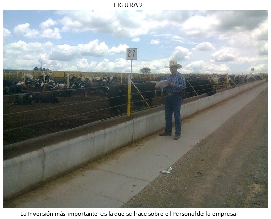 El capital humano base de la rentabilidad en el negocio de la carne - Image 2