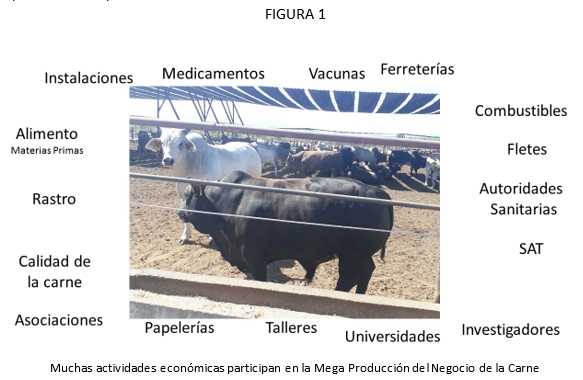 El capital humano base de la rentabilidad en el negocio de la carne - Image 1