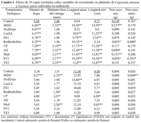 Germinación y crecimiento de plántulas de pimentón y lechuga inoculadas con rizobios e identificación molecular de las cepas - Image 4