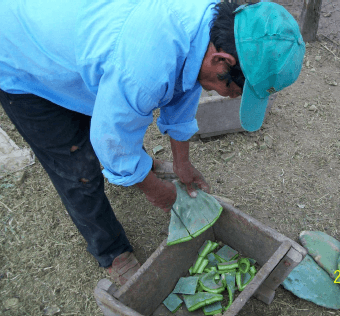 Evaluación del consumo de agua en cabras - Image 3