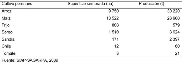 Diagnóstico de la Cadena Productiva Bovinos de Doble Propósito en el Distrito de Desarrollo Rural DDR 008 Cd. Alemán, Veracruz - Image 6