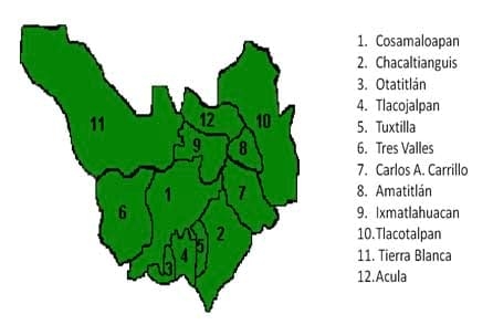 Diagnóstico de la Cadena Productiva Bovinos de Doble Propósito en el Distrito de Desarrollo Rural DDR 008 Cd. Alemán, Veracruz - Image 16