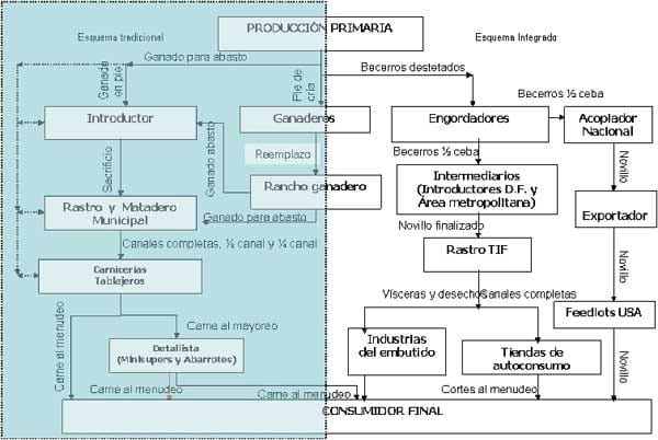 Diagnóstico de la Cadena Productiva Bovinos de Doble Propósito en el Distrito de Desarrollo Rural DDR 008 Cd. Alemán, Veracruz - Image 11