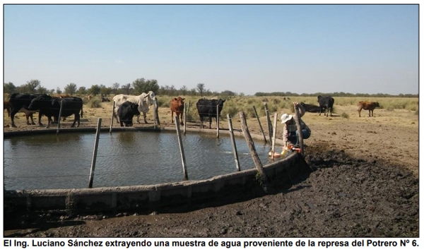 Demostrador de Aguada para Ganadería en la depresión central de los Bajos Submeridionales - Image 27