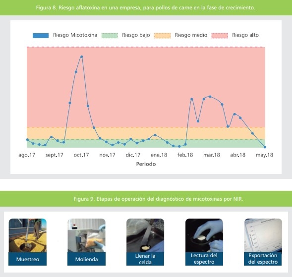 Micotoxinas en la avicultura: Efectos en la rentabilidad, medidas de prevención y control (Parte 2) - Image 4