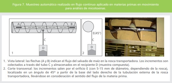 Micotoxinas en la avicultura: Efectos en la rentabilidad, medidas de prevención y control (Parte 2) - Image 3