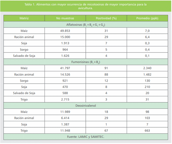 Micotoxinas en la avicultura: Efectos en la rentabilidad, medidas de prevención y control (Parte 1) - Image 1