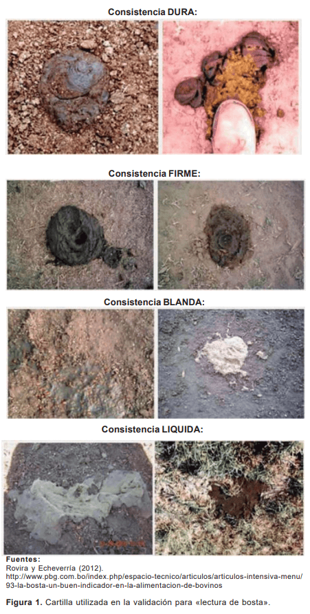 Resultados de validación a nivel comercial de sistemas de suplementación mediante autosuministro de afrechillo de arroz en diferentes categorías bovinas - Image 2