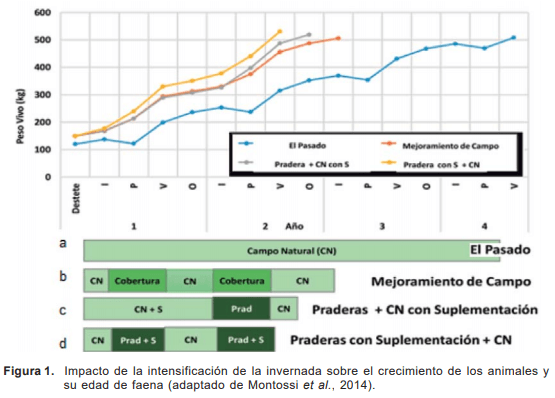Introducción y antecedentes de investigación en auto-suministro y suplementación sobre campo natural - Image 1