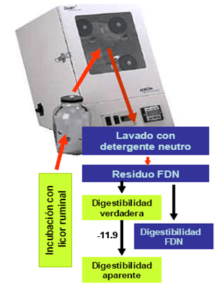 Estimación de calidad de los forrajes - Image 4