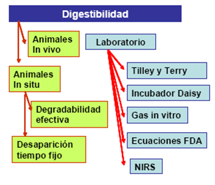 Estimación de calidad de los forrajes - Image 3