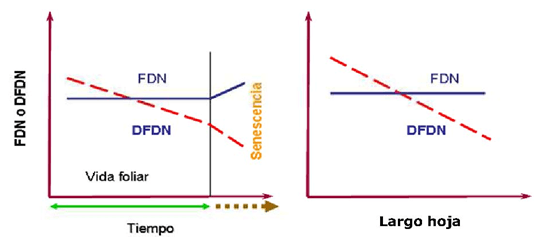 Estimación de calidad de los forrajes - Image 6