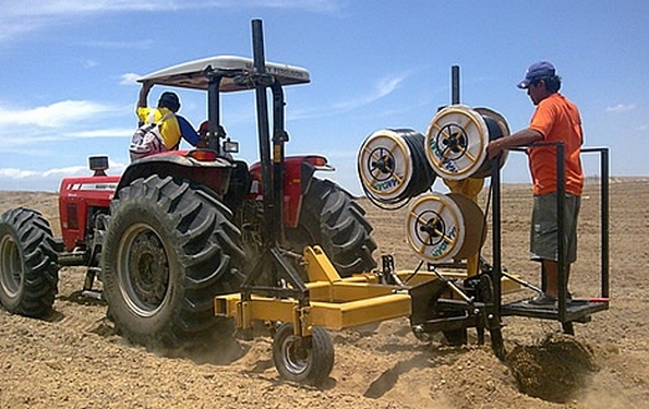 El riego subterráneo por goteo, en arroz - Image 2