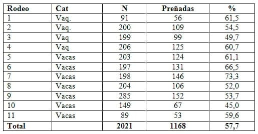 Implementación de programas de inseminación artificial en rodeos de cría de Argentina - Image 17
