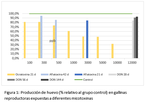 Micotoxinas en gallinas reproductoras: riesgos para la productividad, la mortalidad embrionaria y el desempeño de la progenie - Image 1