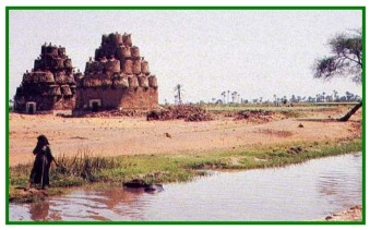 Importancia de la avicultura. Las aves en el Antigüo Egipto - Image 7
