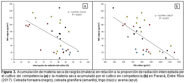 Crecimiento de raigrás en competencia con cereales de invierno - Image 5