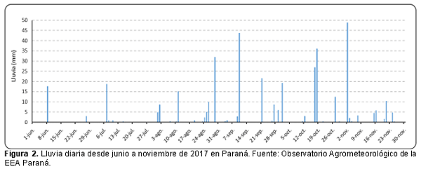 Crecimiento de raigrás en competencia con cereales de invierno - Image 3