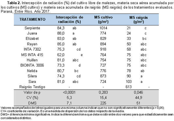 Crecimiento de raigrás en competencia con cereales de invierno - Image 4
