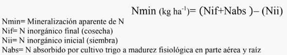 Nitrógeno del suelo: desde la materia orgánica al cultivo - Image 2