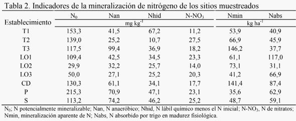 Nitrógeno del suelo: desde la materia orgánica al cultivo - Image 6
