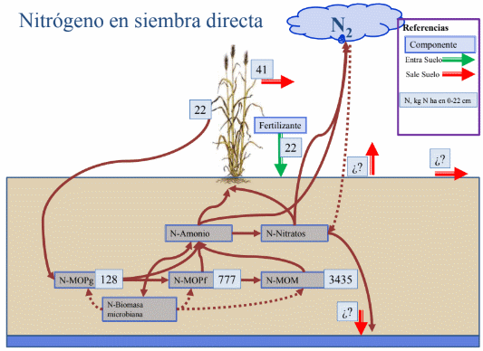 Balance de nitrógeno en sistemas con diferente labranza - Image 6