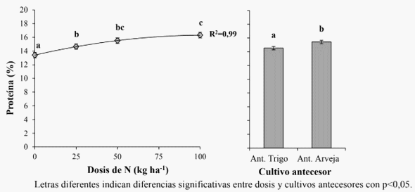 Efecto del cultivo antecesor y de la fertilización foliar en trigo - Image 5