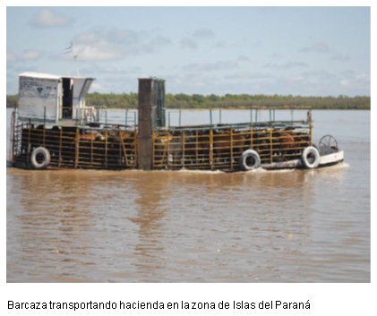 Transporte de hacienda: Taller de capacitación en ganadería de cría - Image 1