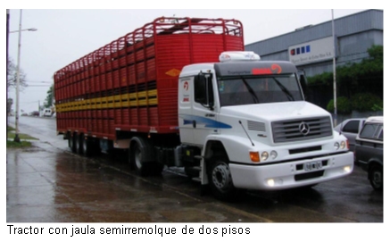 Transporte de hacienda: Taller de capacitación en ganadería de cría - Image 4