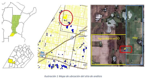 Análisis Comparativo de parámetros edáficos y NDVI entre un sistema de Pastoreo Racional Voisín y Agricultura en Siembra Directa - Image 1