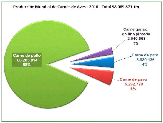El Negocio Avícola Mundial: Oportunidades y Amenazas - Image 23