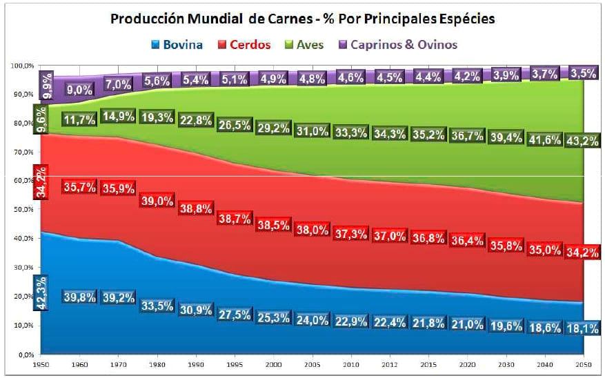 El Negocio Avícola Mundial: Oportunidades y Amenazas - Image 19