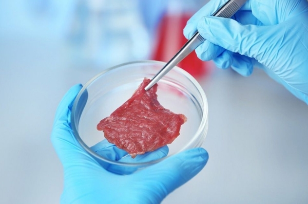 Carne libre de animales - Image 1
