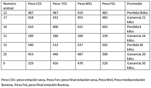 El pesaje, un instrumento de medición indispensable para el ganadero moderno. - Image 1