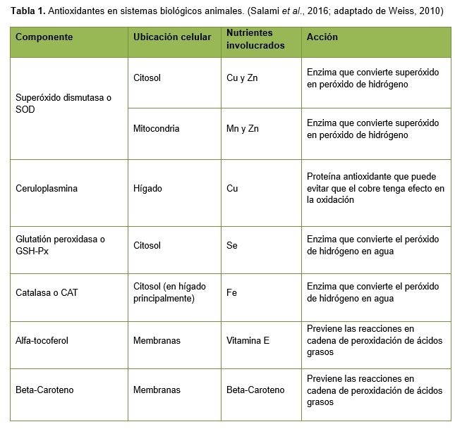 Combatiendo el Estrés Oxidativo con Silvafeed® ATX - Image 1