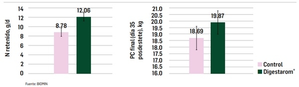 La importancia de la salud intestinal en la producción porcina libre de antibióticos - Image 8
