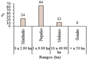 Caracterización de sustentabilidad de algunas fincas con cultivo de granadilla (pasiflora ligularis juss) en el distrito de Chinchao – Huánuco – Perú - Image 9