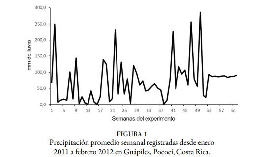 Respuesta a la suplementación con propilenglicol en vacas multiovuladas, para la producción de embriones - Image 1