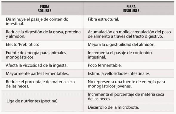 Estrategias nutricionales en avicultura durante el invierno - Image 5