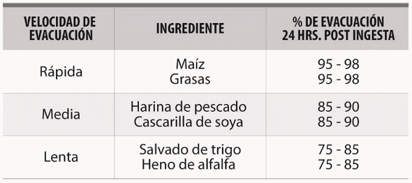 Estrategias nutricionales en avicultura durante el invierno - Image 4